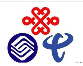 廣電網(wǎng)絡(luò)公司掛牌 邁向全業(yè)務(wù)運(yùn)營的里程碑